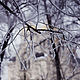 Во власти зимы!, Фотокартины, Москва,  Фото №1