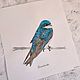 Order   Bird swallow watercolor. vettochka. Livemaster. . Pictures Фото №3