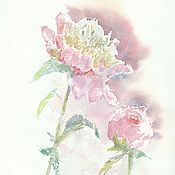 watercolor. Watercolor miniature. flowers. Oriental poppy