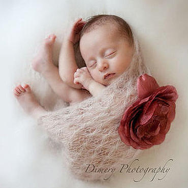 Бесплатный фрагмент - Открой секреты фотосессии новорожденного