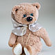 Мишка тедди в капюшоне. Мишки Тедди. Teddy by Olga Prokudina. Интернет-магазин Ярмарка Мастеров.  Фото №2