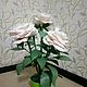 Букет роз, Ночники, Кострома,  Фото №1