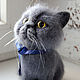 Toy of wool cat Martha - the dull cat in the world, Felted Toy, Podolsk,  Фото №1