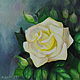 Butter Rose Oil Painting. Pictures. Painting by Margarita Drevs. Online shopping on My Livemaster.  Фото №2
