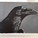  ' Black Raven' oil pastel painting. Pictures. flamemilady. My Livemaster. Фото №5