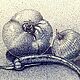Графика оригинал"Натюрморт". Картины. LaVanda. Интернет-магазин Ярмарка Мастеров.  Фото №2