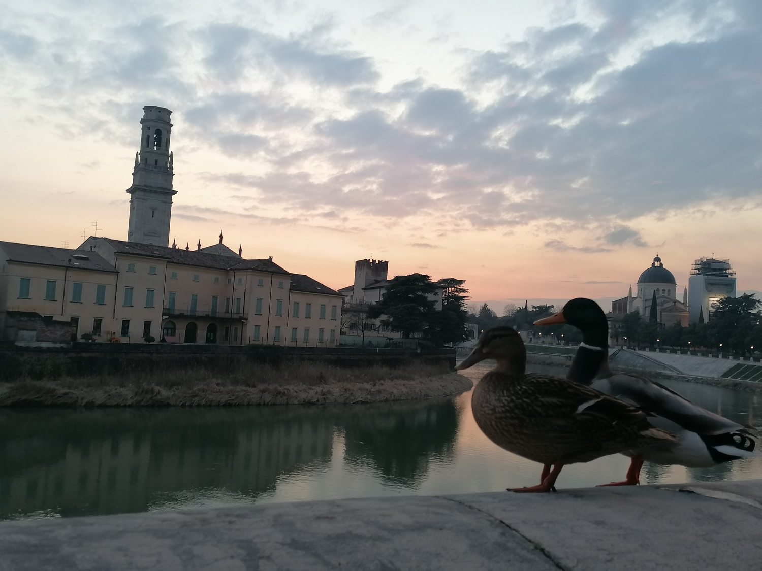 Cita di amore