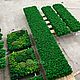 Заказать Полоса из стабилизированного мха 210*40см. Green.Box. Ярмарка Мастеров. . Стабилизированный мох Фото №3