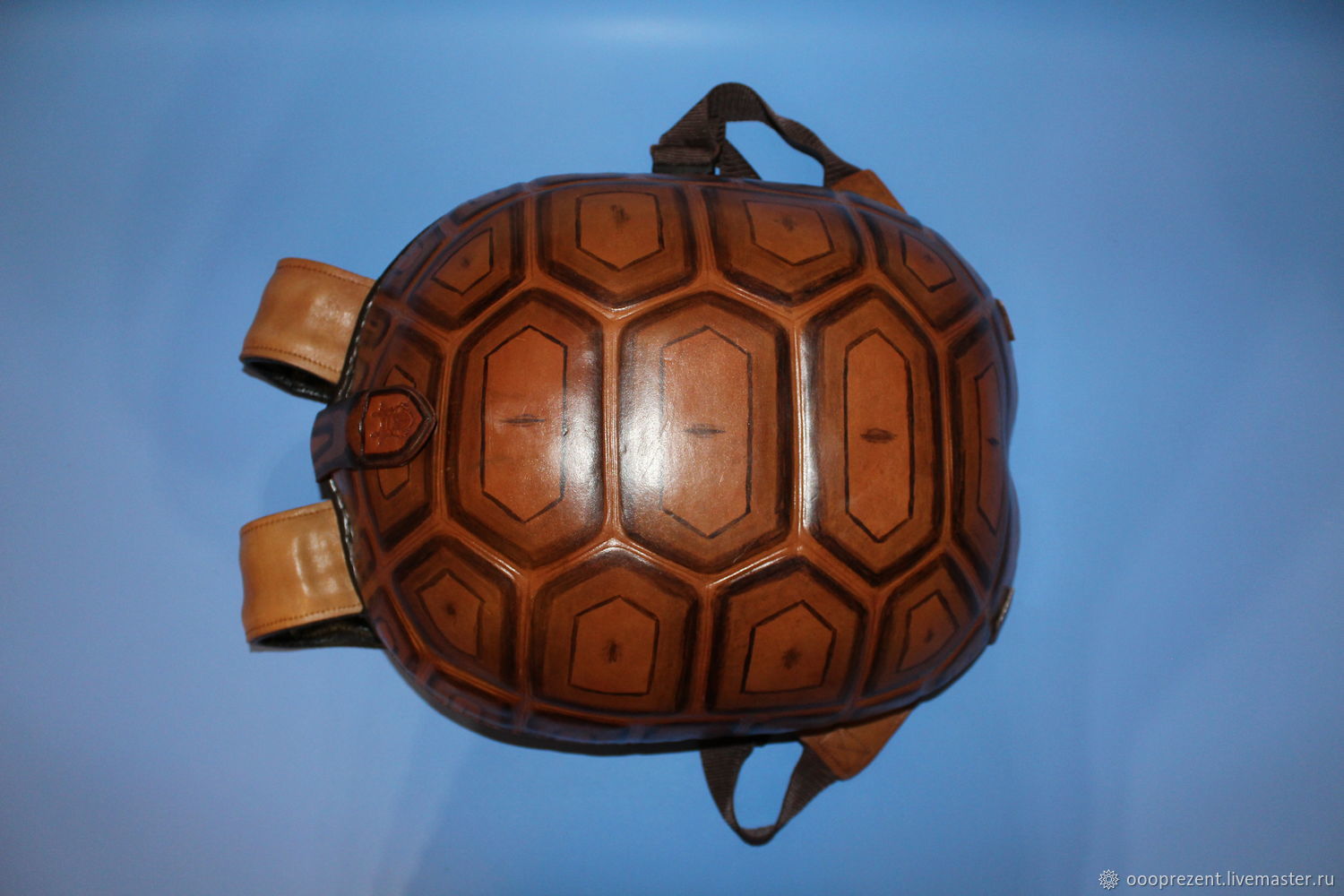 четверо черепашек. окрас черепахи. фото садовых фигурок черепахи. садовая фигура "черепаха". слоновая черепаха в московском зоопарке.