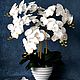 "Аритмия" Композиция из искусственных цветов, Комнатные растения, Елец,  Фото №1