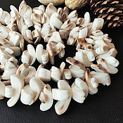 Материалы для творчества handmade. Livemaster - original item Beads Huggers Cut Cowry Shells 10 pcs.. Handmade.