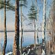 Order Oil painting early evening landscape with birches and pines. olga-klim (olga-klim). Livemaster. . Pictures Фото №3
