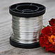 0,3 mm Wire, silver, copper, Wire, Moscow,  Фото №1