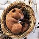 Спящая орешниковая соня (коллекционная интерьерная работа). Войлочная игрушка. Синица-мастерица. Ярмарка Мастеров.  Фото №4