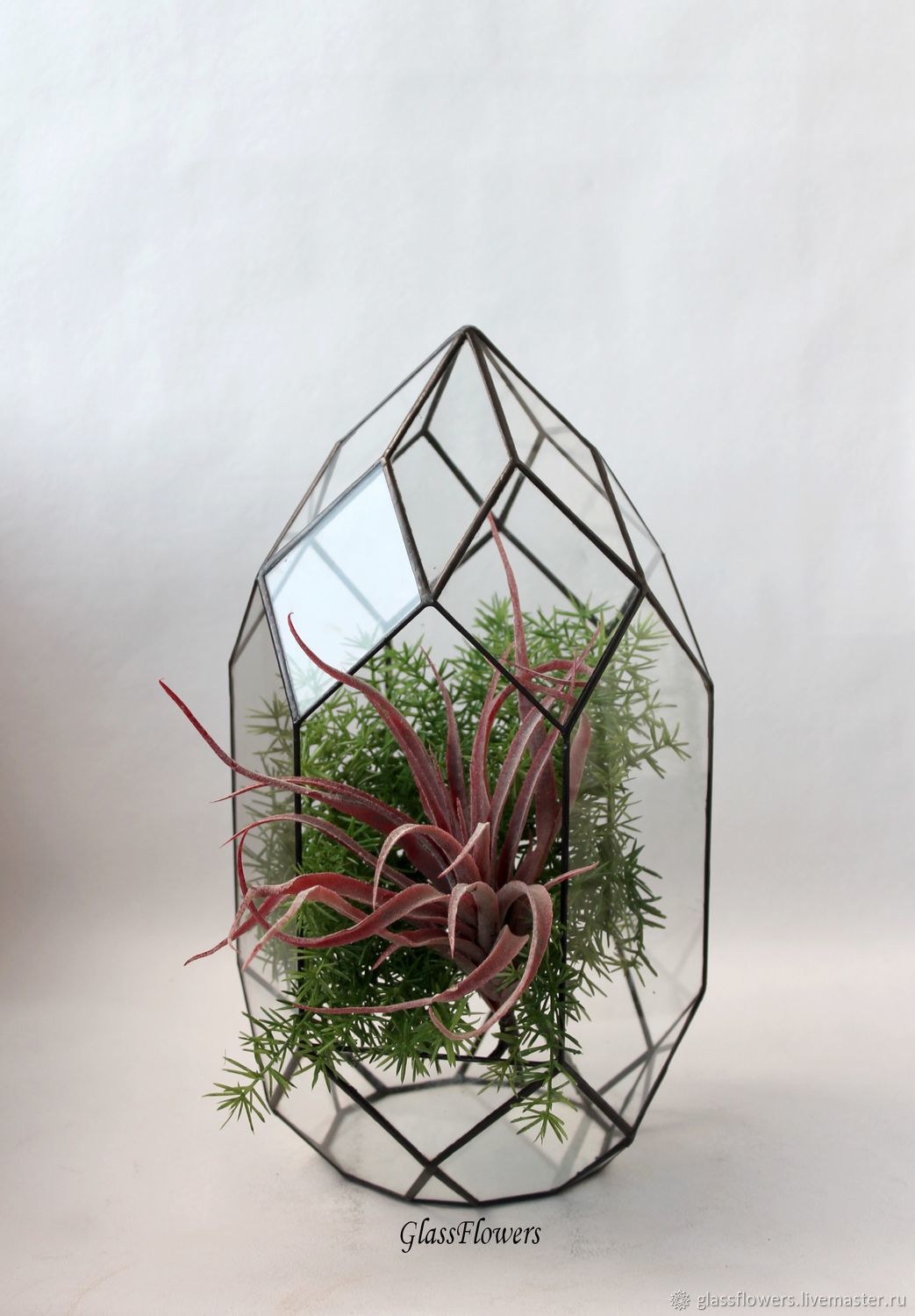 The Floriana. Geometric Floriana. Orchidarium. Vase for Floriana, Pots1, St. Petersburg,  Фото №1