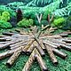Курипе из цельного дерева. Кокосовое дерево. Трубка для рапэ. Shamanic-staff. Интернет-магазин Ярмарка Мастеров.  Фото №2