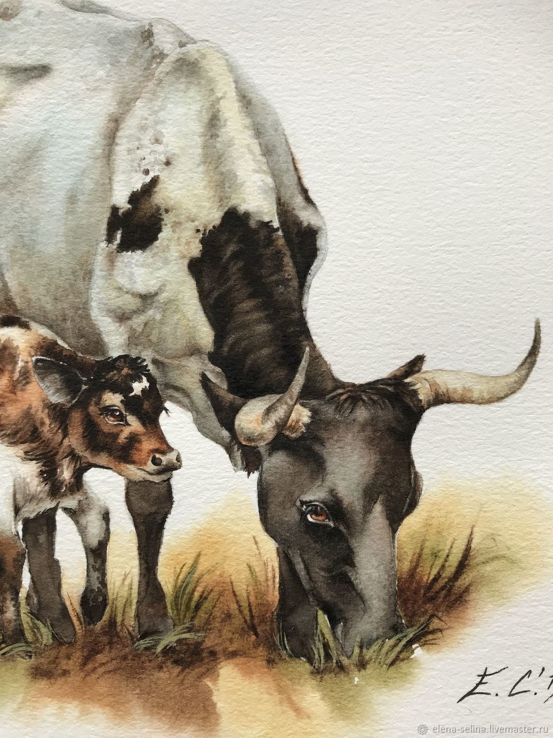 Раскраска корова с телёнком