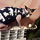 Clothing for cats 'polar bears', Pet clothes, Biisk,  Фото №1