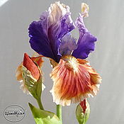 Цветы и флористика handmade. Livemaster - original item Iris polymer clay. Handmade.