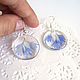 Order Transparent Earrings with Real Blue Cornflower Petals. WonderLand. Livemaster. . Earrings Фото №3