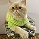 Одежда для кошек/собак. Одежда для питомцев. KNITTINGmaniaBY. Интернет-магазин Ярмарка Мастеров.  Фото №2