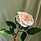 Роза из полимерной глины. Цветы. Цветочный образ. Интернет-магазин Ярмарка Мастеров.  Фото №2
