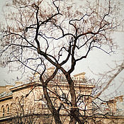 Картины и панно handmade. Livemaster - original item Tree art photography, Paris print, Paris City art, large wall art. Handmade.
