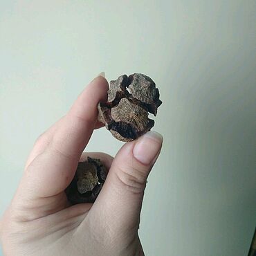 Mortal Kombat порно қыздармен Жігіт өзін жопқа сипатады