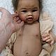 Заказать Лимитный молд "Anne Rose" от Ping Lau. RebornBoom-XXI. Ярмарка Мастеров. . Аксессуары для кукол и игрушек Фото №3