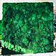 Paneles de musgo estabilizado con baches (000, 10m2,25), Moss, Belgorod,  Фото №1