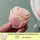 Silicone soap mold rose Avalange S. Form. myfavoriteforms (myfavoriteforms). Online shopping on My Livemaster.  Фото №2