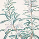 Order Botanical watercolor, Rosemary. Belasla. Livemaster. . Pictures Фото №3