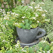 Цветы и флористика handmade. Livemaster - original item Pot Cup made of concrete with a tray for flowers and decor. Handmade.