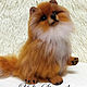 Pomeranian Rooney. Stuffed Toys. julia1966. Online shopping on My Livemaster.  Фото №2