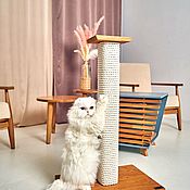Duet of furniture for animals 