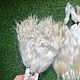 Шелковые локоны для кукольных волос  30-32см. Волосы для кукол. MAGA. Ярмарка Мастеров.  Фото №6