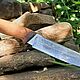 Knife 'Caesar' Zlatoust. Gifts for hunters and fishers. wow-zlat-gifts (wow-zlat-gifts). My Livemaster. Фото №5