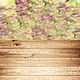 Виниловый фотофон "Вид с веранды на цветущий сад", 50х100 см, Фото, Новосибирск,  Фото №1