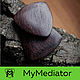The mediator wood Rosewood: Spin Glide - 03, Guitar picks, Zhukovsky,  Фото №1