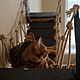 Заказать Puente trenzado para gatos victoria'. VIMBESK. Ярмарка Мастеров. . Ladders, steps for animals Фото №3