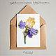 face. postcard watercolor Irises
