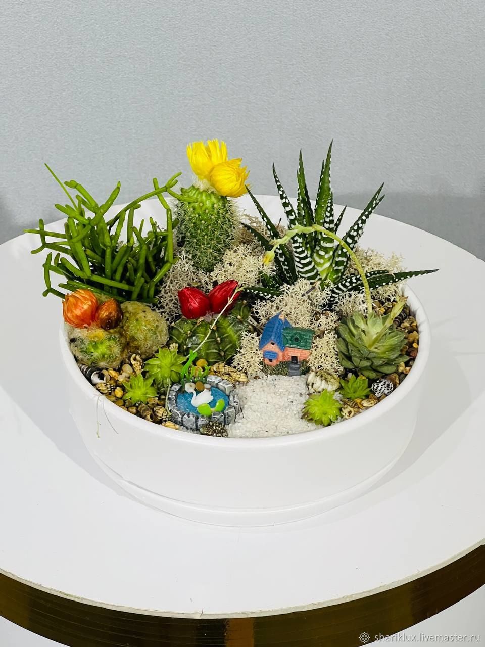 Бонсайница с растениями интерьерный мини сад купить в интернет-магазине ...
