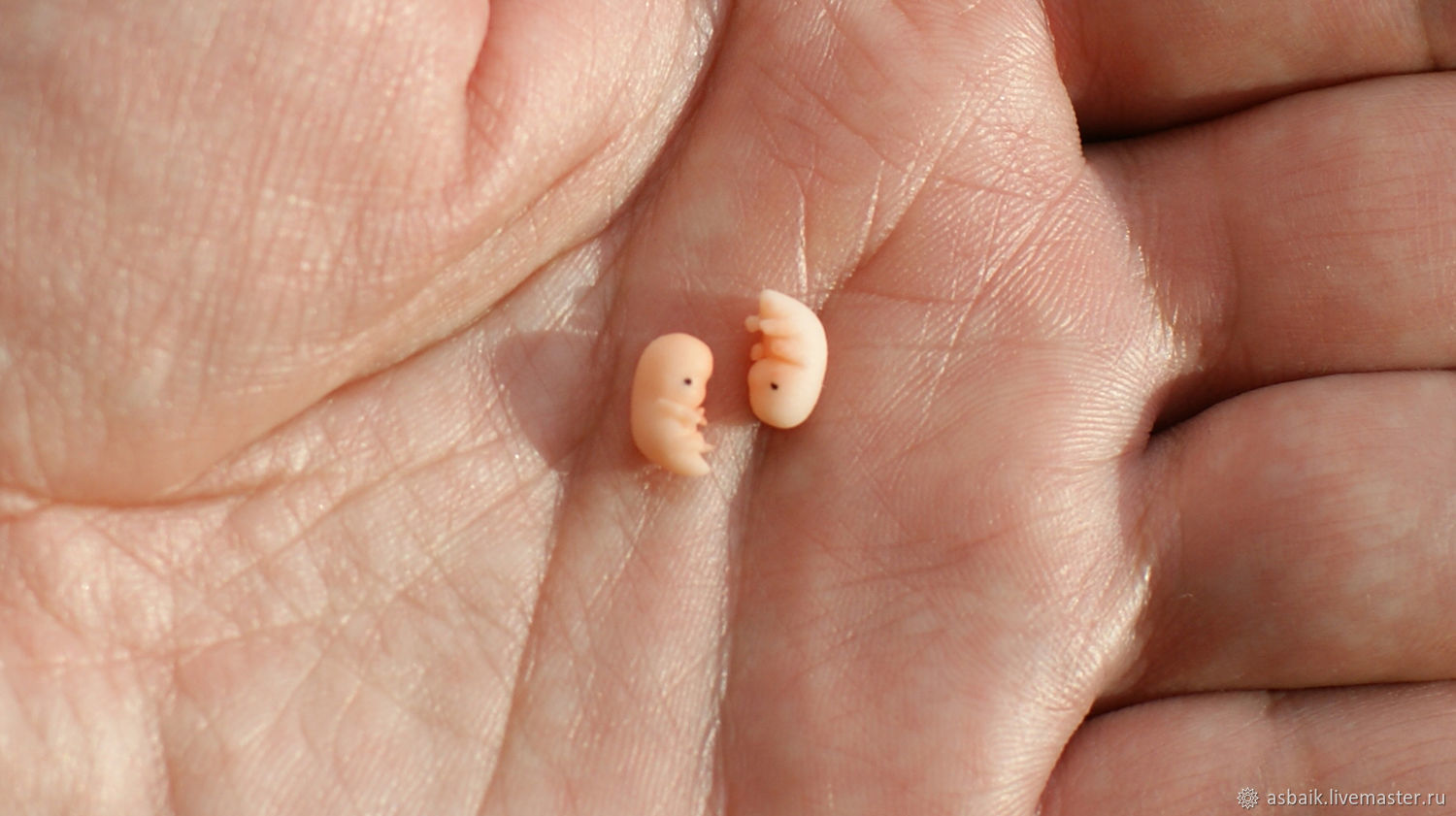Эмбрион на 6 неделе беременности фото как выглядит