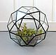 The Floriana. Geometric Floriana ball ball. Vase for Floriana. Pots1. Glass Flowers. Online shopping on My Livemaster.  Фото №2