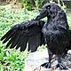 Big Black Raven. Realistic toy of nature, Teddy Animals, Teddy Toys, Kamensk-Uralsky,  Фото №1