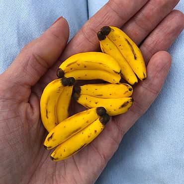 банан фото. банановая кожура. эквадор бананы из россии. фрукты банан. мыло банан ручной работы.