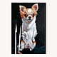 The painting ' Chihuahua', Pictures, Moscow,  Фото №1
