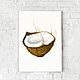  Watercolor Coconut. Pictures. natabold. Online shopping on My Livemaster.  Фото №2
