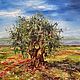 "Оливковое дерево". Картина (холст, масло). Д. Маливани, Картины, Санкт-Петербург,  Фото №1