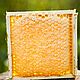 Мёд в сотах (сотовая рамка) 2023, Мед, Белокуриха,  Фото №1